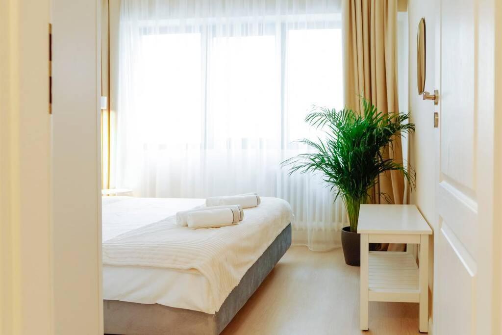 Elegant Vibes Apartment Next To Obor Market Bucureşti Exterior foto