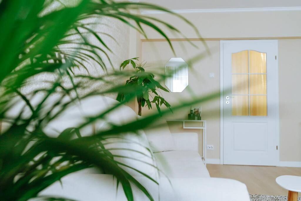 Elegant Vibes Apartment Next To Obor Market Bucureşti Exterior foto
